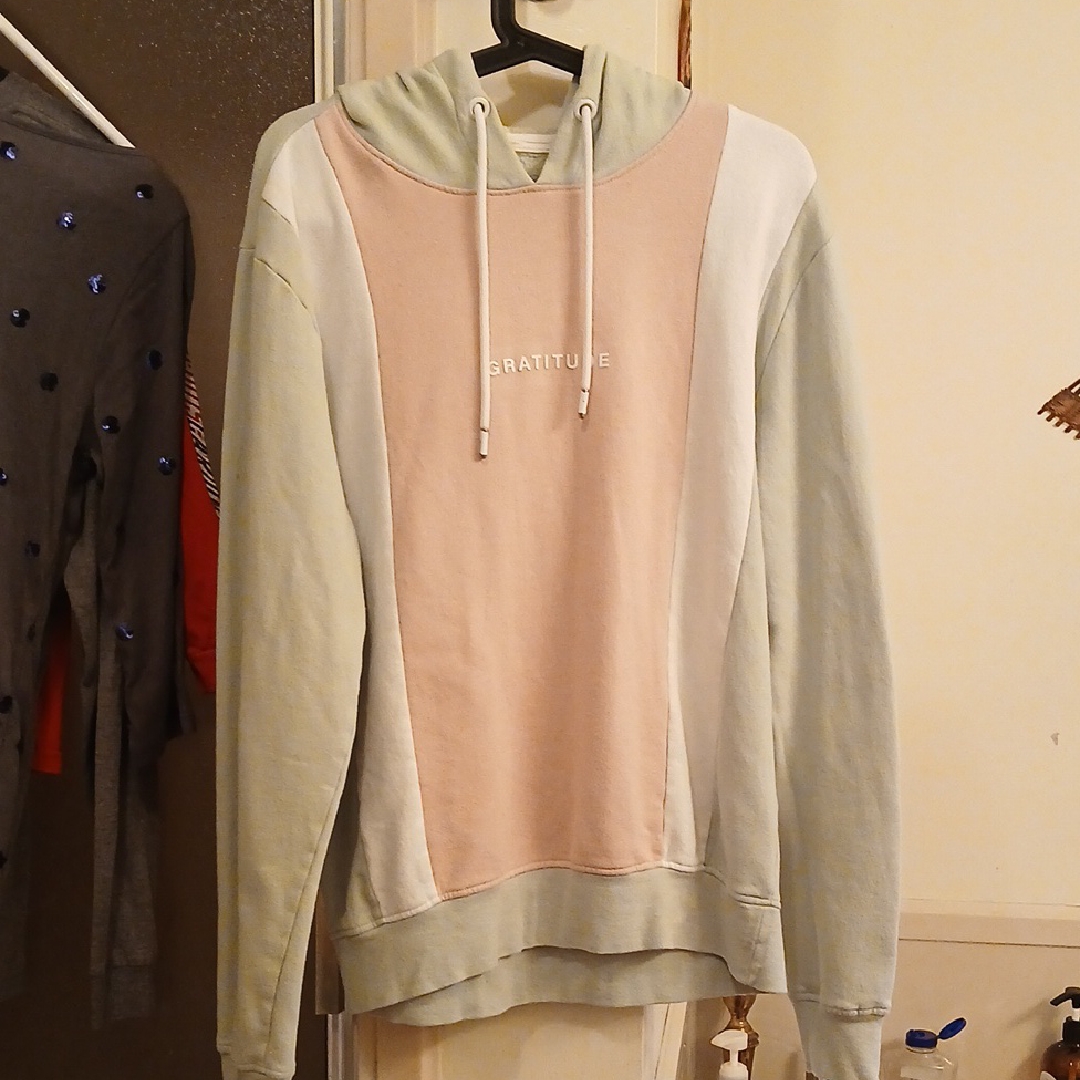 Blind Rooster Pastel Colorblock Hoodie With 'Gratitude' Print. Men's M